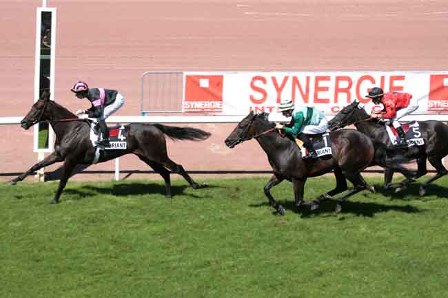 Arrivée quinté pmu PRIX DE LONGCHAMP à CHATEAUBRIANT