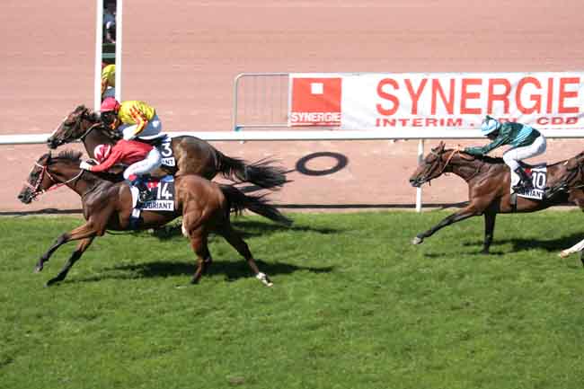 Arrivée quinté pmu PRIX DES REGIONS BRETAGNE à CHATEAUBRIANT