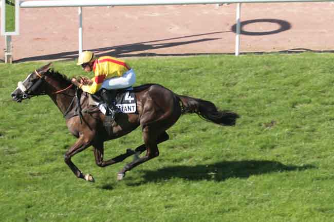Arrivée quinté pmu PRIX GACKO à CHATEAUBRIANT