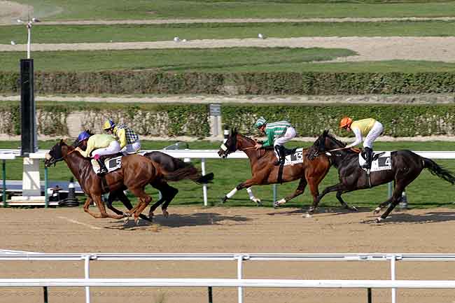 Arrivée quinté pmu PRIX DU THENNEY à DEAUVILLE