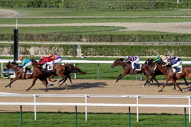Arrivée quinté pmu PRIX DE GLANVILLE à DEAUVILLE