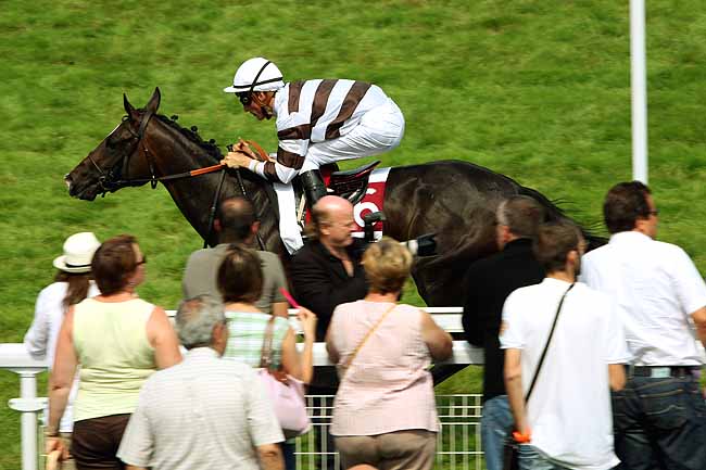 Arrivée quinté pmu PRIX 