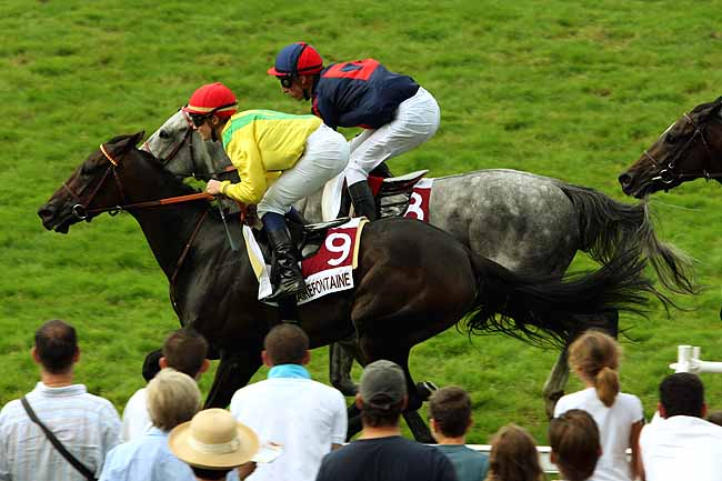 Arrivée quinté pmu PRIX 