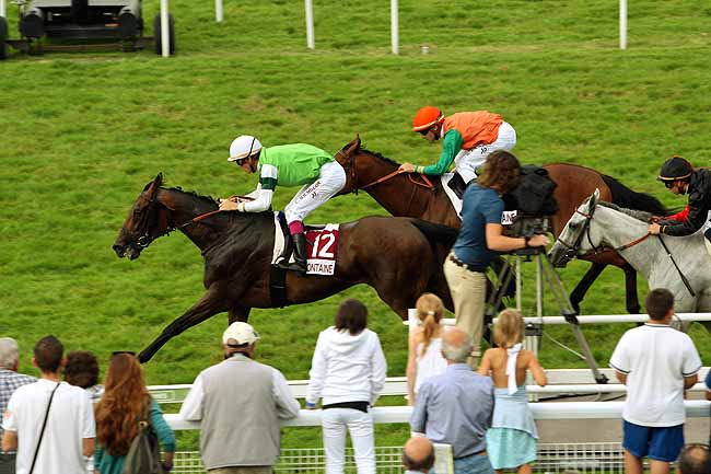 Arrivée quinté pmu PRIX 