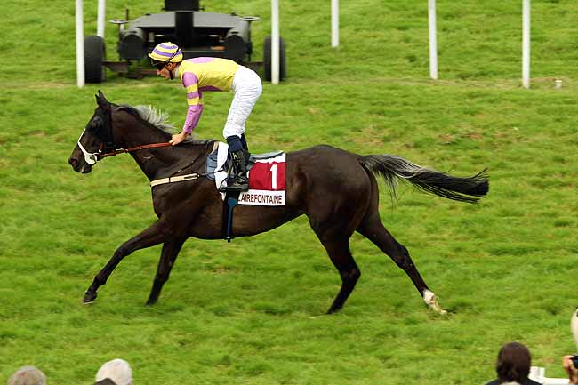 Arrivée quinté pmu PRIX 