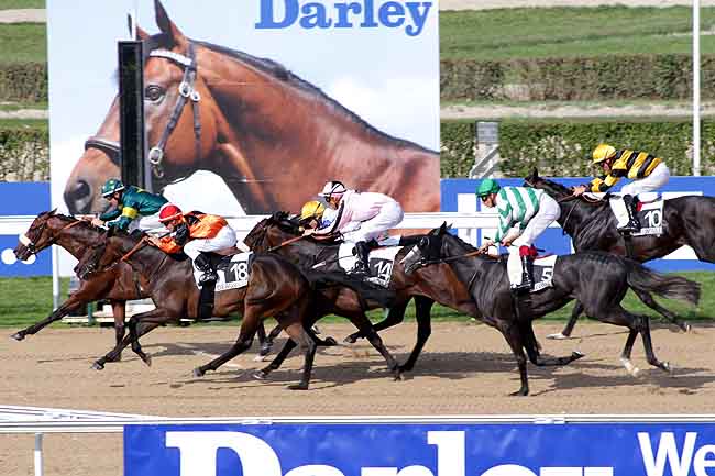 Arrivée quinté pmu PRIX DE PERSEIGNE à DEAUVILLE