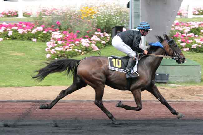 Arrivée quinté pmu PRIX D'EPERNAY à PARIS-VINCENNES