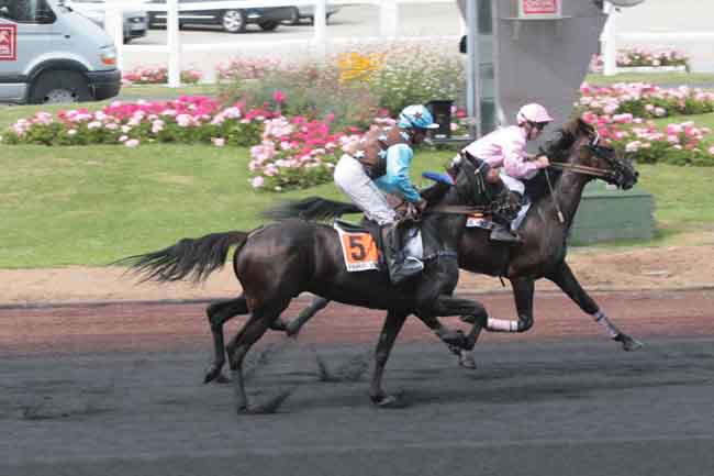 Arrivée quinté pmu PRIX LEGOUX-LONGPRE à PARIS-VINCENNES