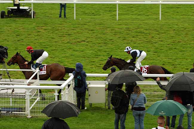 Arrivée quinté pmu PRIX SECURITE SUR LA ROUTE (PRIX DES AUBEPINES) à CLAIREFONTAINE
