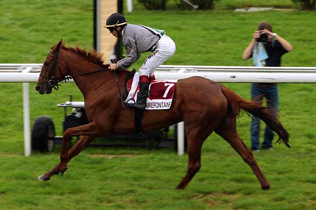 Arrivée quinté pmu PRIX COMMUNAUTE DE COMMUNES COEUR COTE FLEURIE (PRIX DES ROSELYS) à CLAIREFONTAINE