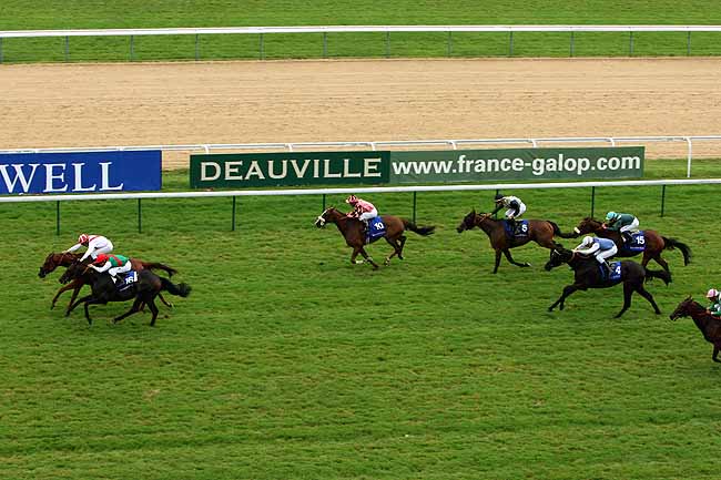 Arrivée quinté pmu ETALON MUHTATHIR - GRAND HANDICAP DE LA MANCHE à DEAUVILLE