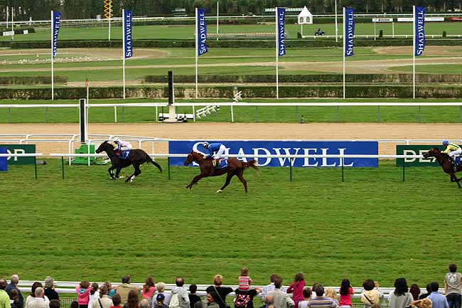 Arrivée quinté pmu PRIX ETALON NAAQOOS à DEAUVILLE