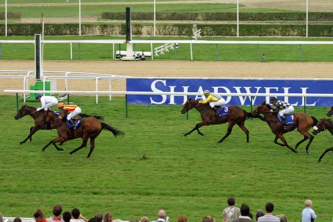 Arrivée quinté pmu PRIX DE LA NONETTE SHADWELL à DEAUVILLE