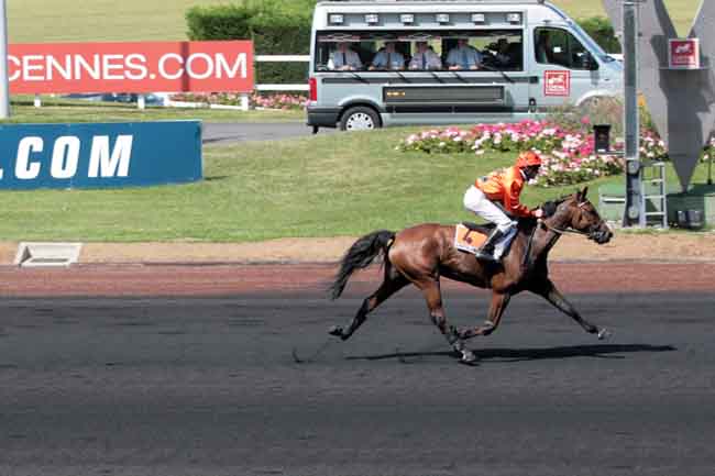 Arrivée quinté pmu PRIX D'ECOMMOY à PARIS-VINCENNES