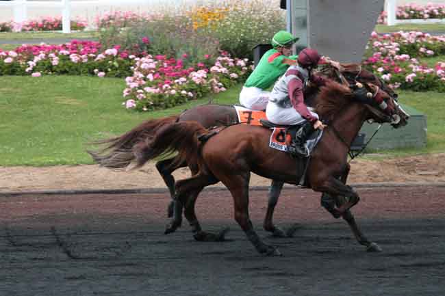 Arrivée quinté pmu PRIX PIERRE GAMARE à PARIS-VINCENNES