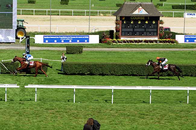 Arrivée quinté pmu PRIX DE L'ASSOCIATION DES PROPRIETAIRES DU SUD-OUEST (PRIX LA RISLE) à CLAIREFONTAINE