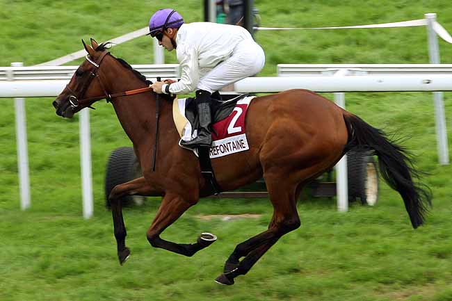 Arrivée quinté pmu PX DE L'ASSOCIATION DES PROPRIETAIRES DE BASSE-NORMANDIE (PX PATURAGE) à CLAIREFONTAINE