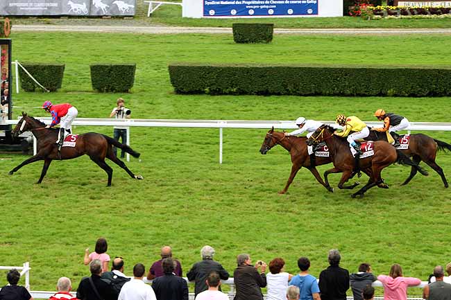 Arrivée quinté pmu PX DE L'ASSOCIATION DES PROPRIETAIRES DU CENTRE-EST (PX LA CX BRISEE) à CLAIREFONTAINE