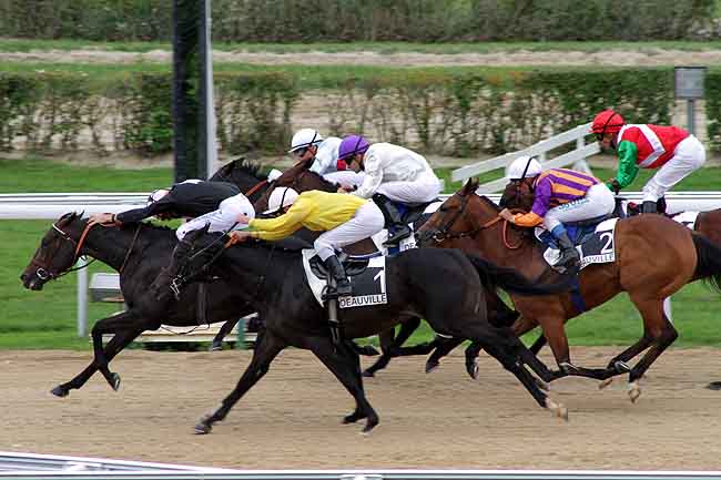 Arrivée quinté pmu PRIX DE LA LOUVIERE à DEAUVILLE