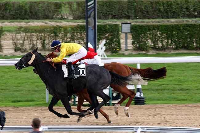 Arrivée quinté pmu PRIX DE TRIQUERVILLE - GRAND PRIX DE SAINT-MALO à DEAUVILLE