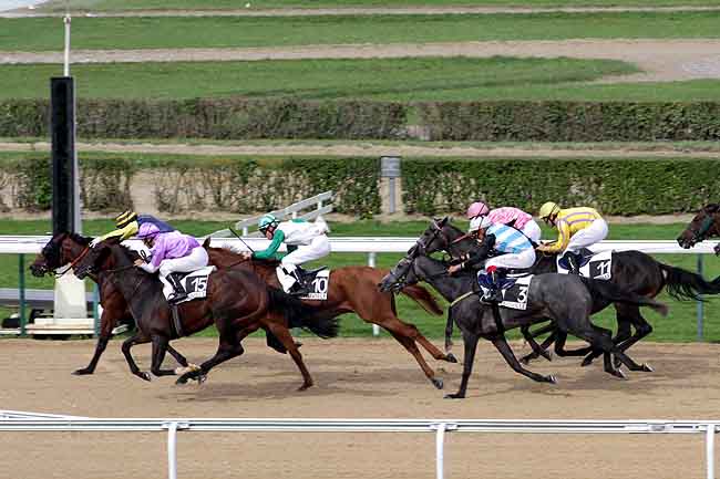 Arrivée quinté pmu PRIX DE CLARBEC à DEAUVILLE