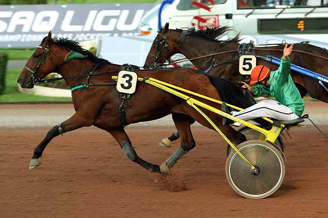 Arrivée quinté pmu PRIX DES DATURAS à CABOURG