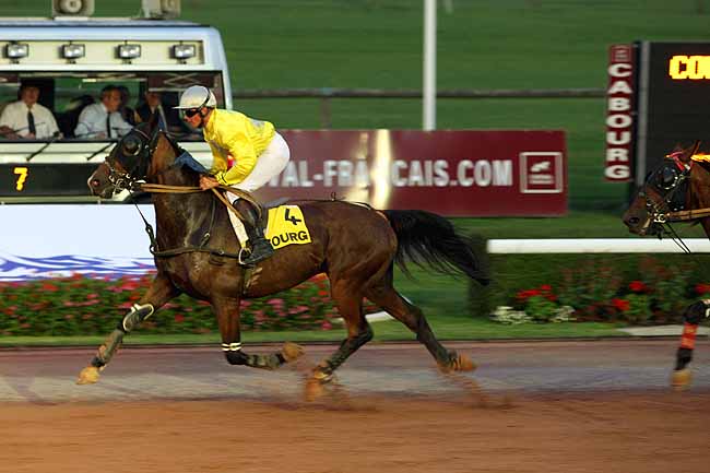 Arrivée quinté pmu PRIX DES GAZANIES à CABOURG