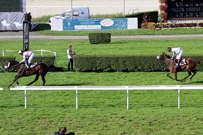 Arrivée quinté pmu PRIX DES FROMAGERIES GRAINDORGE (PRIX R. DU HALGOUET) à CLAIREFONTAINE
