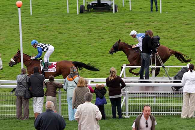 Arrivée quinté pmu PRIX CARRUS (PRIX TIP MOSS) à CLAIREFONTAINE