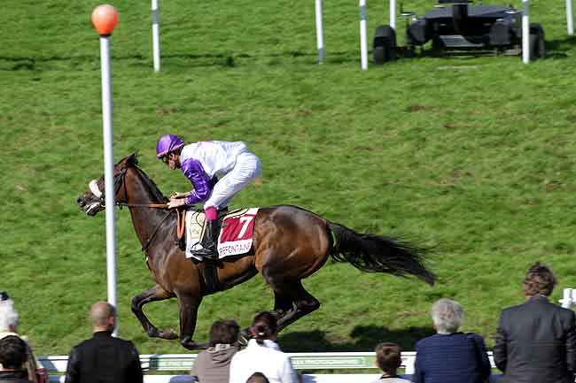 Arrivée quinté pmu PX DU CLOS DE LAUNAY-PROGRAMME IMMO.A PONT L'EVEQUE (PX PETITE FERME) à CLAIREFONTAINE