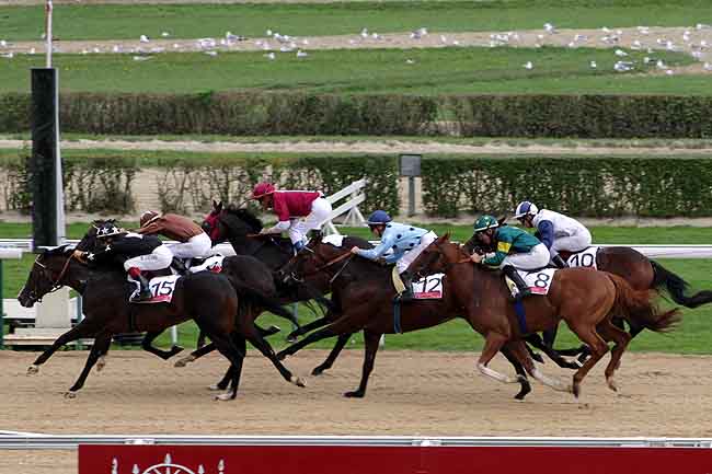 Arrivée quinté pmu PRIX HOTEL NORMANDY BARRIERE DE DEAUVILLE à DEAUVILLE