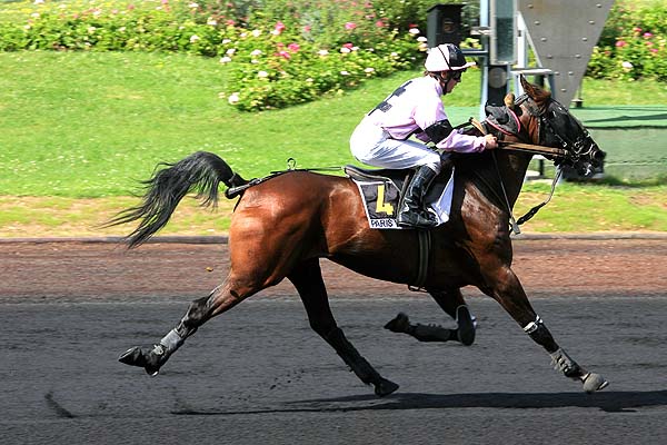 Arrivée quinté pmu PRIX DE CHATEAUMEILLANT à PARIS-VINCENNES