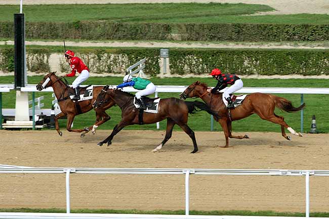 Arrivée quinté pmu PRIX DU VAUDREUIL à DEAUVILLE