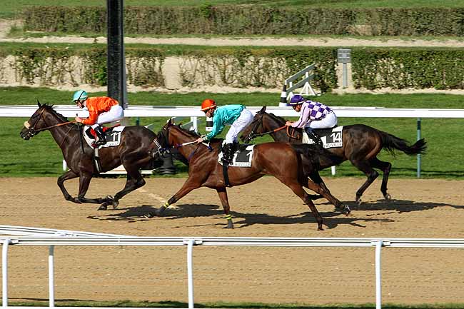 Arrivée quinté pmu PRIX DE BOUQUETOT à DEAUVILLE