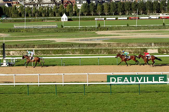 Arrivée quinté pmu PRIX DE COLLETOT à DEAUVILLE