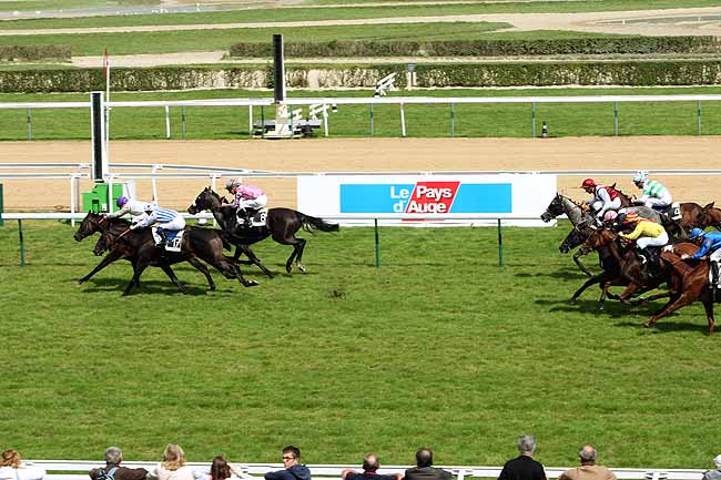 Arrivée quinté pmu PRIX DE LA BARBERIE (PRIX DU JOURNAL LE PAYS D'AUGE) à DEAUVILLE