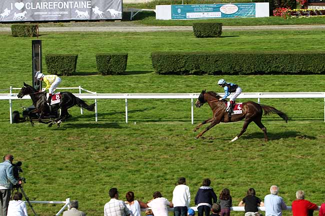Arrivée quinté pmu PRIX POKEMON (PRIX DU CARRE BARRIERE) à CLAIREFONTAINE