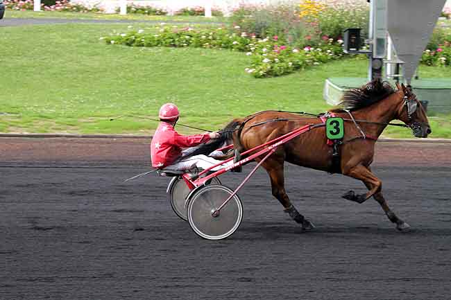 Arrivée quinté pmu PRIX DE SAINT-MANDE à PARIS-VINCENNES