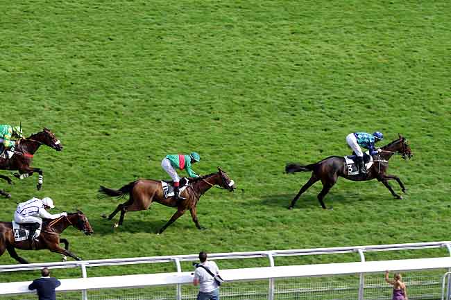 Arrivée quinté pmu PRIX TOURNAY à AUTEUIL