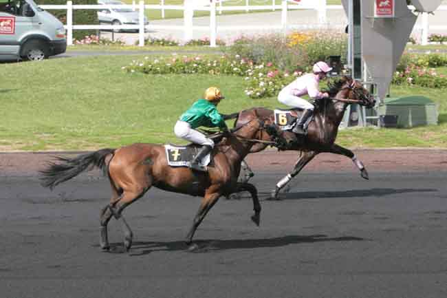 Arrivée quinté pmu PRIX HERVE CERAN-MAILLARD à PARIS-VINCENNES
