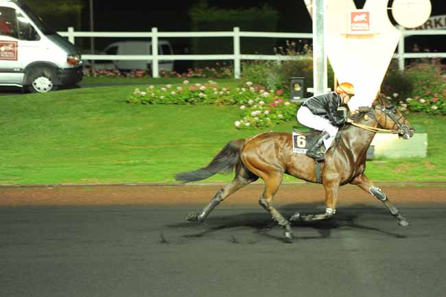 Arrivée quinté pmu PRIX ALKESTE à PARIS-VINCENNES