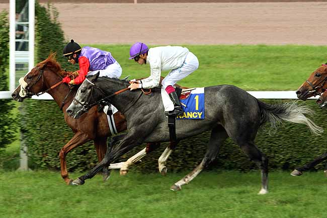 Arrivée quinté pmu PRIX DU CONSEIL REGIONAL (PRIX DE LA MEURTHE) à NANCY