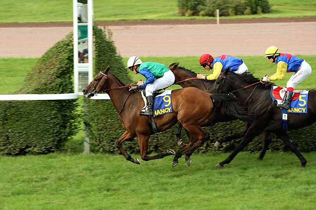 Arrivée quinté pmu PRIX WWW.GENY.COM à NANCY