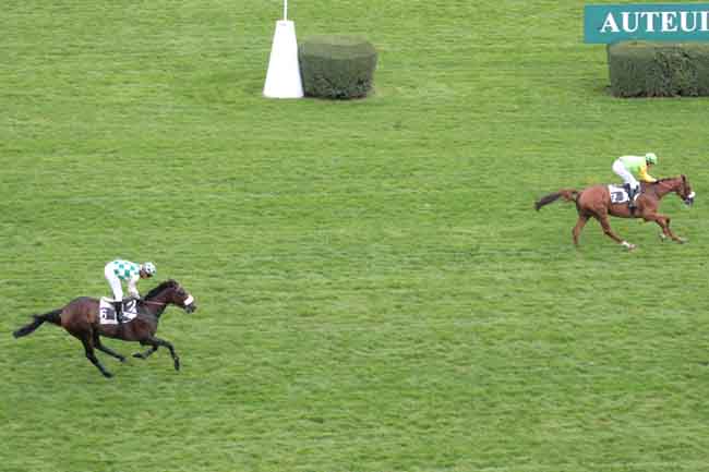 Arrivée quinté pmu PRIX WORLD CITIZEN à AUTEUIL