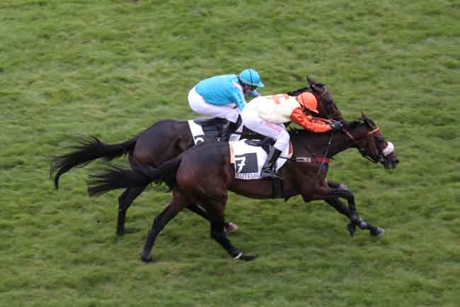 Arrivée quinté pmu PRIX MELANOS à AUTEUIL
