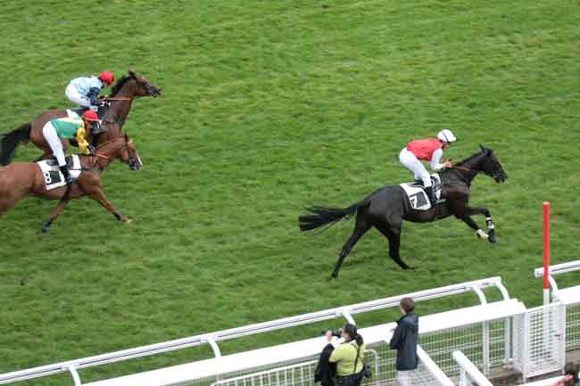Arrivée quinté pmu PRIX MARLY RIVER à AUTEUIL