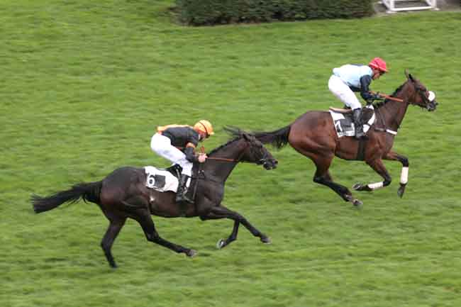 Arrivée quinté pmu PRIX RICHARD ET ROBERT HENNESSY à AUTEUIL