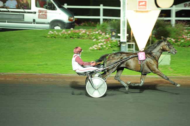 Arrivée quinté pmu PRIX AMALIA à PARIS-VINCENNES
