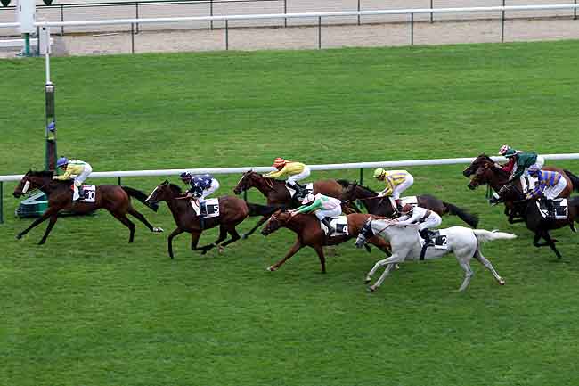 Arrivée quinté pmu PRIX DES FEDERATIONS REGIONALES à LONGCHAMP
