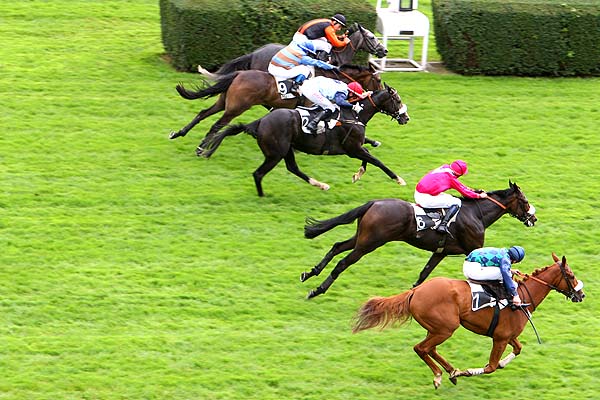 Arrivée quinté pmu PRIX JEAN NOIRET à AUTEUIL
